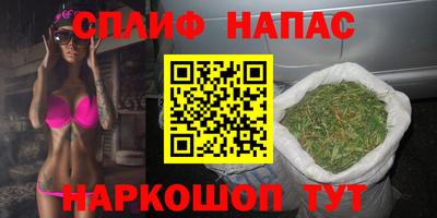 МДПВ Обь