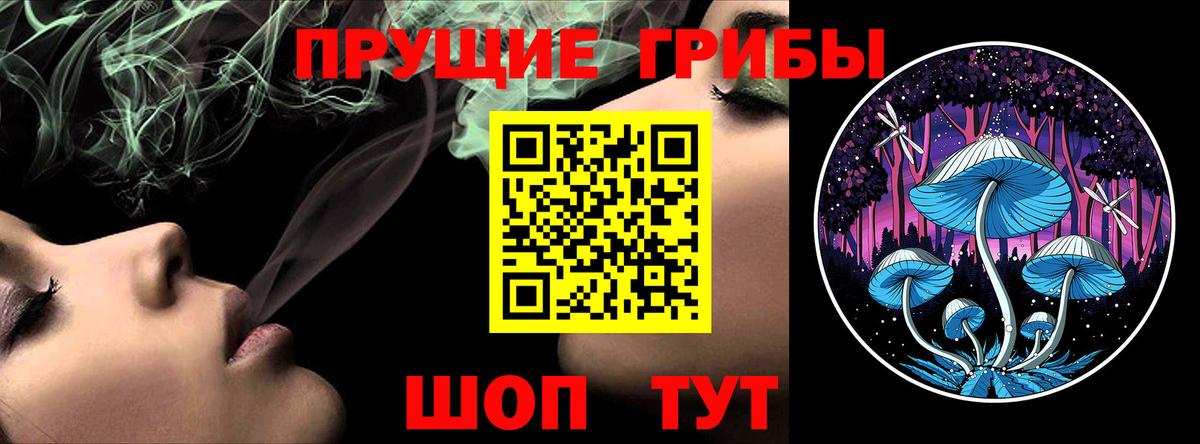 что такое   Вход с VPN  Славгород  Галлюциногенные грибы Cubensis 